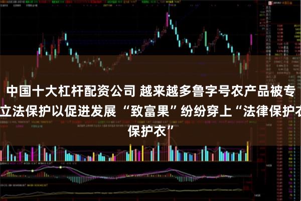 中国十大杠杆配资公司 越来越多鲁字号农产品被专门立法保护以促进发展 “致富果”纷纷穿上“法律保护衣”